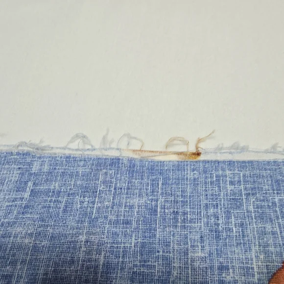 Vintage Mushrooms Fabric On Blue Background Aprox 130 Inches By 45 Inches - Picture 3 of 4